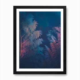 Ferns II Art Print