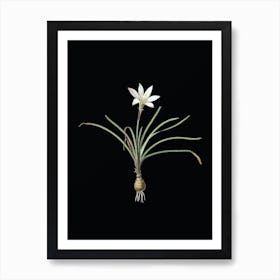 Vintage Rain Lily Botanical Illustration on Solid Black n.0537 Art Print