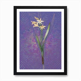 Vintage Gladiolus Cuspidatus Botanical Illustration on Veri Peri n.0079 Art Print