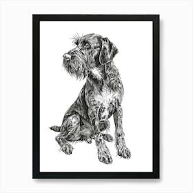 German Wirehaired Pointer Dog Black & White Line Sketch 3 Art Print