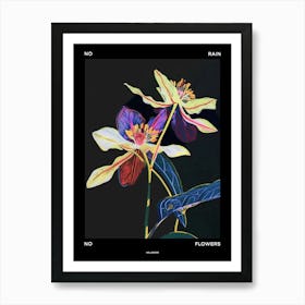 No Rain No Flowers Poster Hellebore 2 Art Print