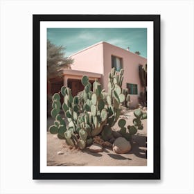 Cacti Pink Wall Photography 4 Poster