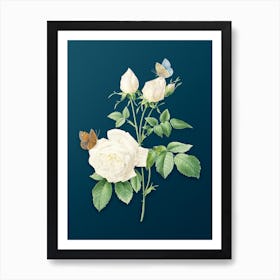 Vintage White Bengal Rose Botanical Art on Teal Blue n.0100 Art Print