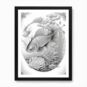 Kawarimono Ogon Koi Fish Haeckel Style Illustastration Art Print