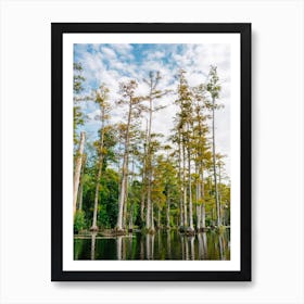 Charleston Cypress Gardens LV Art Print