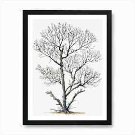 Bare Tree 4 Art Print