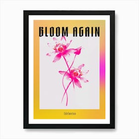 Hot Pink Edelweiss 1 Poster Art Print