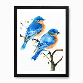 Bluebirds Art Print