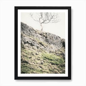 Lone Tree on Rocky Landscape Art Print