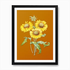 Vintage Blanket Flowers Botanical on Sunset Orange n.0172 Art Print