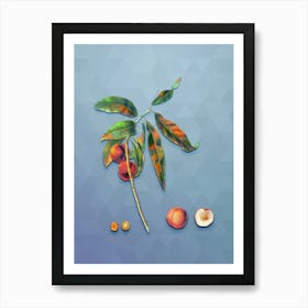 Vintage Apricot Botanical Art on Summer Song Blue n.1559 Art Print