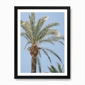 Palmtree // Ibiza Nature & Travel Photography Art Print