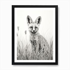 Bat Eared Fox In A Field Pencil Drawing 3 Art Print