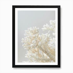 Coral minimal art Art Print