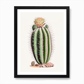 Echinocereus Cactus Marker Art 1 Art Print