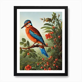 Kingfisher Haeckel Style Vintage Illustration Bird Art Print