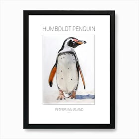 Humboldt Penguin Petermann Island Watercolour Painting 6 Poster Art Print