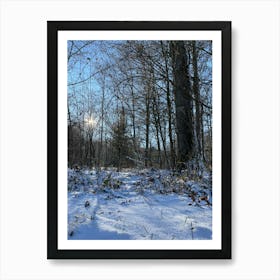 Snowy Woods 4 Art Print