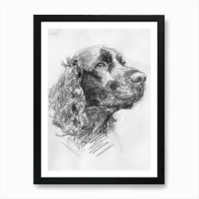 American Water Spaniel Dog Charcoal Line 1 Art Print