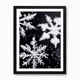 Ice, Snowflakes, Black & White 4 Art Print