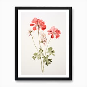 Pressed Flower Botanical Art Geranium 4 Art Print