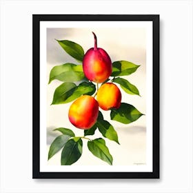 Mangosteen Italian Watercolour fruit Art Print