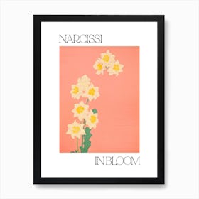 Narcissi In Bloom Flowers Bold Illustration 2 Art Print