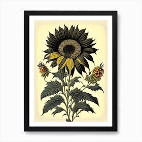 Rudbeckia Floral 1 Botanical Vintage Poster Flower Art Print