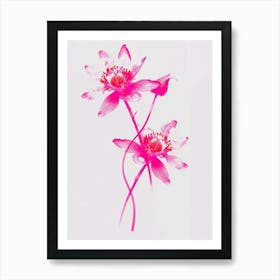 Hot Pink Edelweiss 1 Art Print