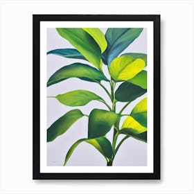 Split Leaf Philodendron Bold Graphic Plant Art Print