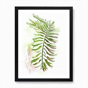 Interrupted Fern Wildflower Watercolour 1 Art Print