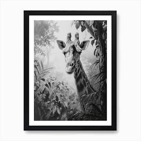 Pencil Portrait Of Giraffe In The Leaves 1 Art Print