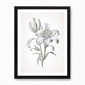 Lilies Flower Vintage Botanical 2 Art Print