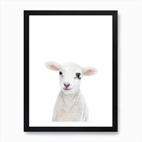 Lamb Art Print