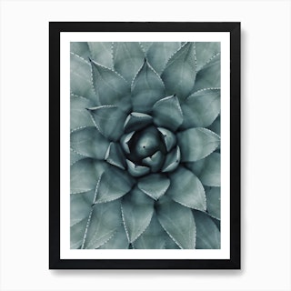 Hypnotic Agave Plant Art Print