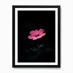 Pink Flower In The Dark Art Print