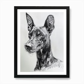 Pinscher Dog Line Sketch 2 Affiche