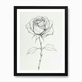 English Rose Black And White Line Drawing 18 Art Print
