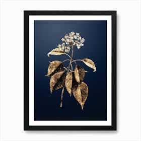 Gold Botanical Pagoda Dogwood on Midnight Navy n.4733 Art Print