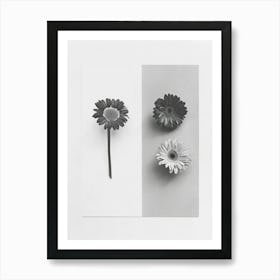 Gerbera Flower Photo Collage 1 Art Print