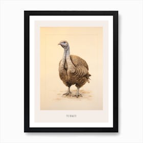 Vintage Bird Drawing Turkey 1 Poster Art Print