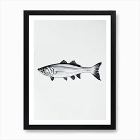 Cod Fish Black & White Drawing Art Print