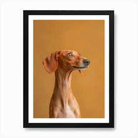 Dachshund. Generated AI. Art Print 6 Póster