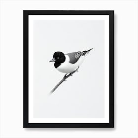 Bufflehead B&W Pencil Drawing 1 Bird Art Print