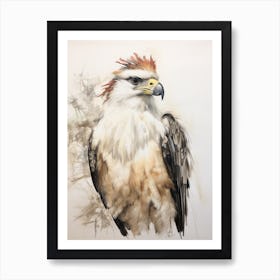 Vintage Bird Drawing Crested Caracara 2 Art Print