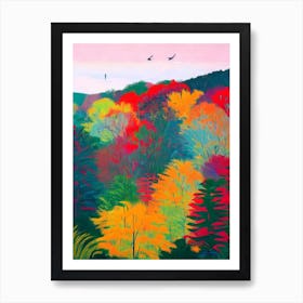 Taman Negara National Park 1 Malaysia Abstract Colourful Art Print