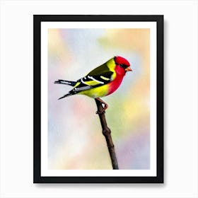 American Goldfinch 2 Watercolour Bird Art Print