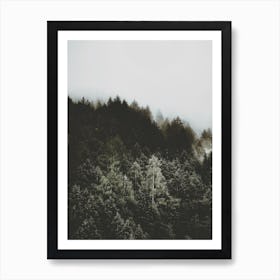 Moody Forest Trees Art Print