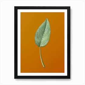 Vintage Powdery Alligator-Flag Botanical on Sunset Orange n.0512 Art Print