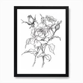 Black And White Rose Line Drawing 2 Art Print